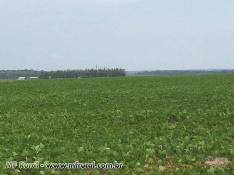 FAZENDA DE AGRICULTURA EM ITANHANGÁ - MT