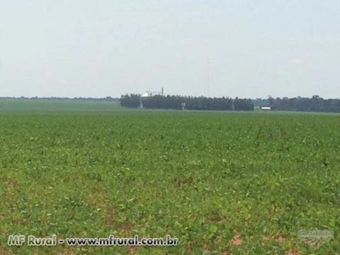 FAZENDA DE AGRICULTURA EM ITANHANGÁ - MT