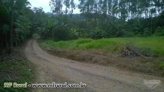 Terreno  a venda