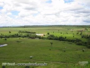 VENDO SITIOS E FAZENDAS A PARTIR DE 10 HECTARES  ATE 10.000 HECTARES