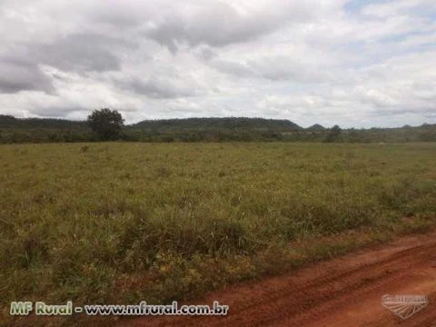 FAZENDA À VENDA (Nº: 004)  - REGIÃO NORTE - TOCANTINS ( 4000 ALQUEIRÕES)