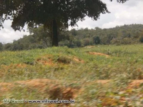 FAZENDA À VENDA (Nº: 004)  - REGIÃO NORTE - TOCANTINS ( 4000 ALQUEIRÕES)