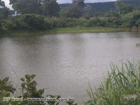 FAZENDA À VENDA (Nº: 004)  - REGIÃO NORTE - TOCANTINS ( 4000 ALQUEIRÕES)