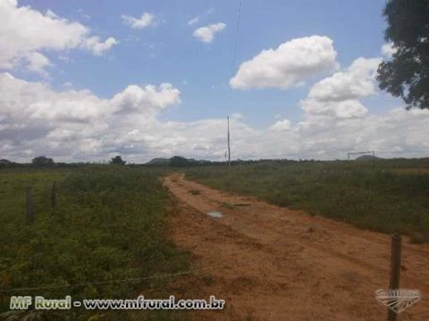 FAZENDA À VENDA (Nº: 004)  - REGIÃO NORTE - TOCANTINS ( 4000 ALQUEIRÕES)