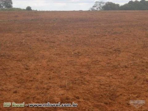 FAZENDA À VENDA (Nº: 004)  - REGIÃO NORTE - TOCANTINS ( 4000 ALQUEIRÕES)