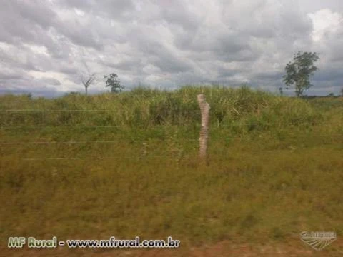 FAZENDA À VENDA (Nº: 004)  - REGIÃO NORTE - TOCANTINS ( 4000 ALQUEIRÕES)