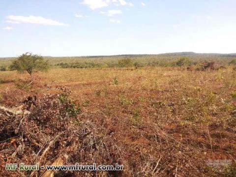 Fazenda Norte Tocantins - 1102 hectares  ( 227 Alqueirão )