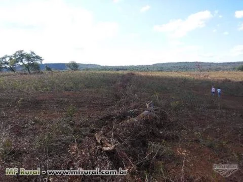 Fazenda Norte Tocantins - 1102 hectares  ( 227 Alqueirão )