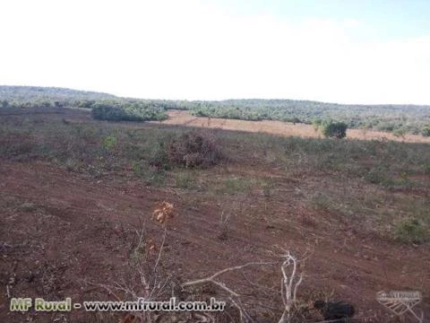 Fazenda Norte Tocantins - 1102 hectares  ( 227 Alqueirão )