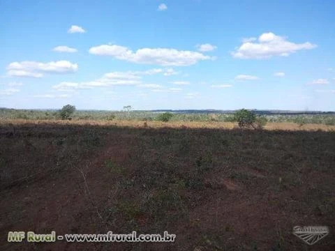 Fazenda Norte Tocantins - 1102 hectares  ( 227 Alqueirão )