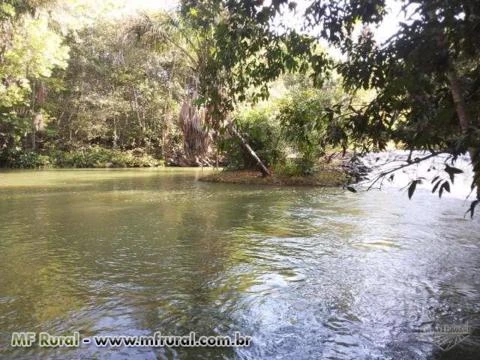 Fazenda Norte Tocantins - 1102 hectares  ( 227 Alqueirão )