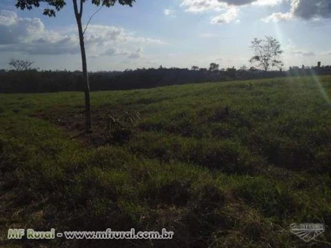 Fazenda Pecuaria - Região Cajazeira - Pará  ( 968 hectares ) ( 200 alqueirão )