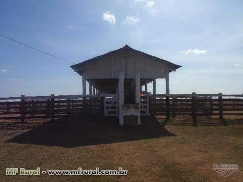 Fazenda no Estado: Pará ( 1200 hectares )  ( 248 alqueirão )