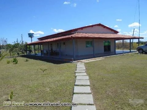 Fazenda Norte Tocantins - Goiatins ( 1074 hectares )  ( 222 alqueirão )