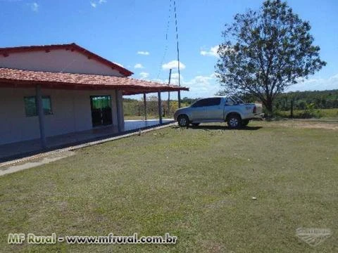 Fazenda Norte Tocantins - Goiatins ( 1074 hectares )  ( 222 alqueirão )