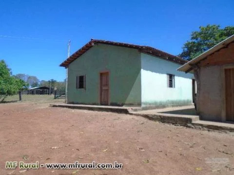 Fazenda Norte Tocantins - Goiatins ( 1074 hectares )  ( 222 alqueirão )