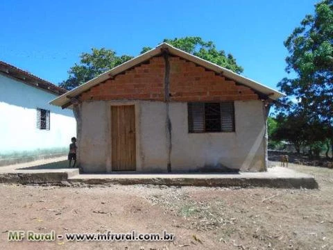 Fazenda Norte Tocantins - Goiatins ( 1074 hectares )  ( 222 alqueirão )