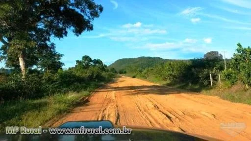 6.500ha Fralda de Pantanal - Pecuária