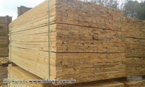 Imagem Tábua de Pinus Imagem Tábua de Pinus