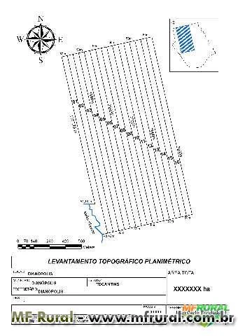 Fazenda Dianopolis TO