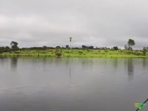 FAZENDA COM 1000 Ha DEGRADADOS ÀS MARGENS DE UM AFLUENTE DO RIO AMAZONAS DOCUMENTADA, 2.671 Ha TOTAL