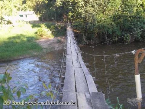 Sitio Barra do Turvo - Pupunha