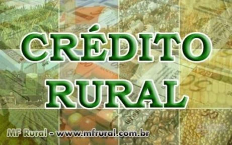 CREDITO P PROPRIEDADES RURAIS, CAMINHOES, EQUIPAMENTOS AGRIC,CAPITAL DE GIRO
