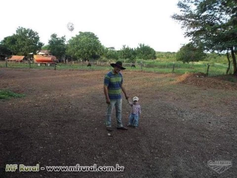 VENDO EXCELENTE FAZENDA PARA SOJA, ENGORDA DE BOI E SILVICULTURA EM PIUM-TO