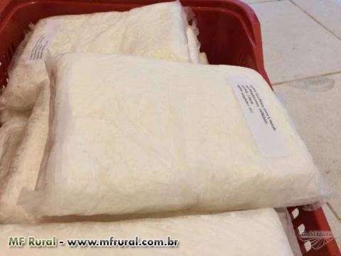 Imagem COCO RALADO 100% NATURAL CONGELADO Imagem COCO RALADO 100% NATURAL CONGELADO