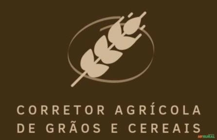 Curso Corretor de Grãos Imagem Curso Corretor de Grãos