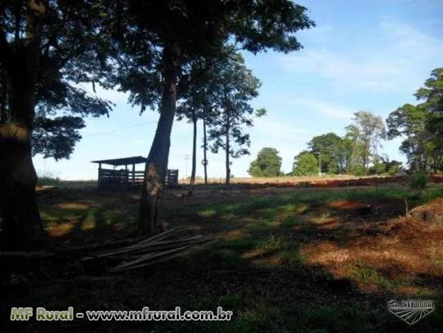 Fazenda em São Carlos com 450 Alqueires com pista de pouso