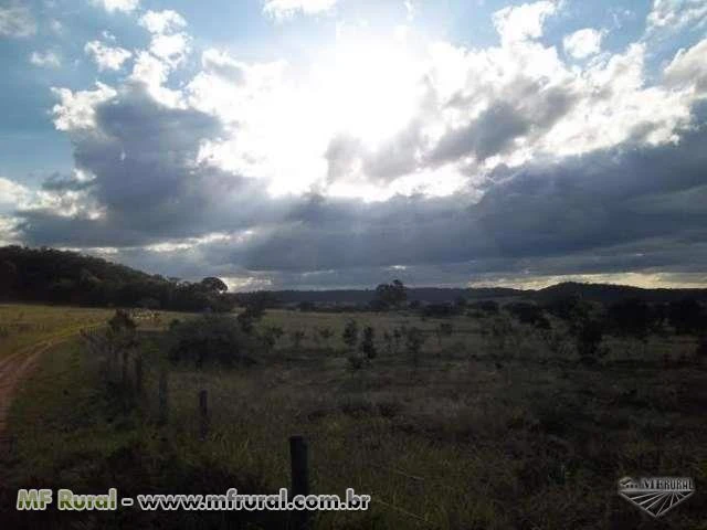 Fazenda no Município de João Pinheiro na BR 365