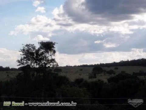 Fazenda no Município de João Pinheiro na BR 365