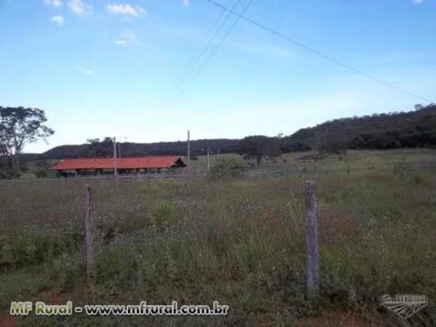 Fazenda no Município de João Pinheiro na BR 365