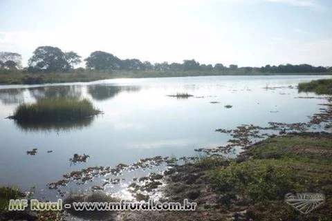 Fazenda em Buritizeiro