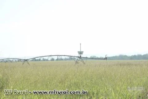 Fazenda em Buritizeiro