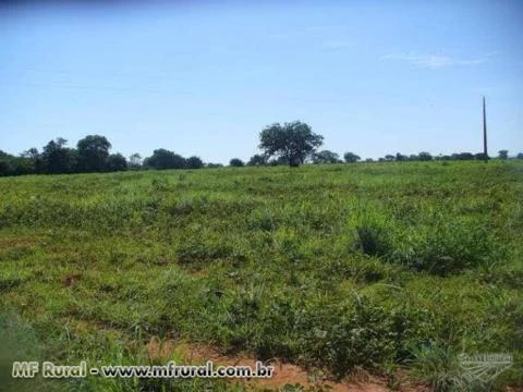 Fazenda localizada em Quém Quém, região de Janaúba-MG