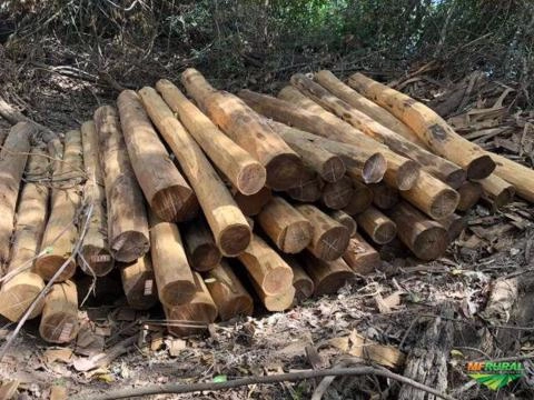 PALANQUES E MOURÕES Imagem PALANQUES E MOURÕES