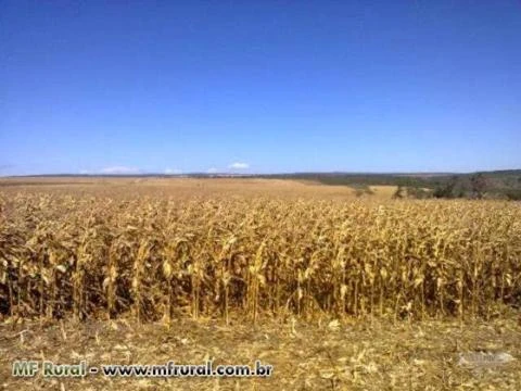 Fazenda Para Lavoura com 420ha com Pivô para Irrigação