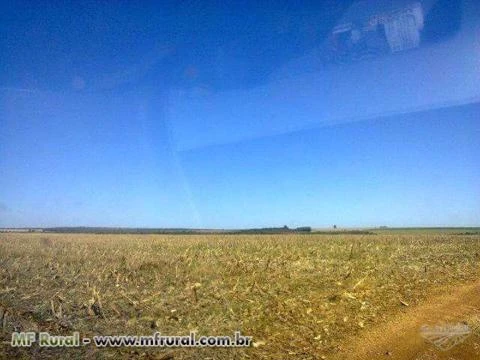 Fazenda Para Lavoura com 420ha com Pivô para Irrigação