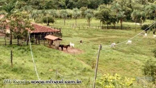 Fazenda Próximo a Brasília com 581Ha