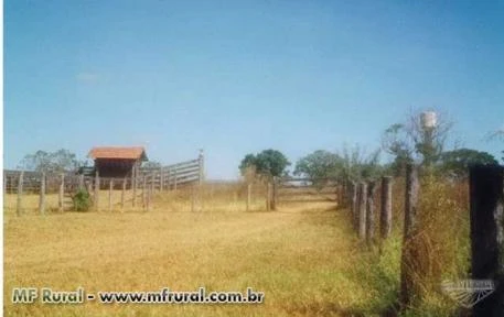 Fazenda com 828Ha de Porteira Fechada