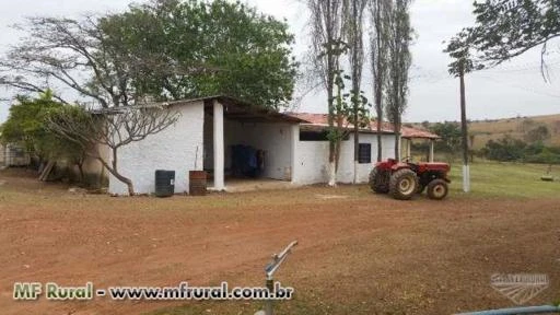 Fazenda com 184 Ha a 60km de Brasília no Município de Cocalzinho - GO