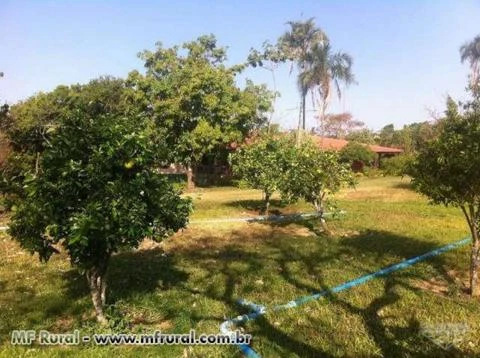 Fazenda com 184 Ha a 60km de Brasília no Município de Cocalzinho - GO