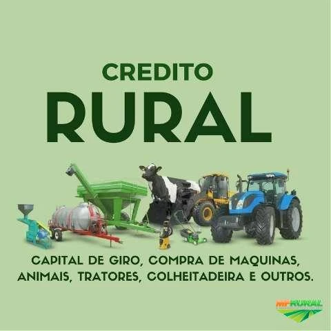 Crédito Rural e Empresarial, Cartas de Crédito, Financiamentos