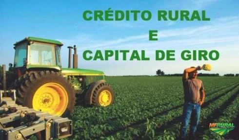 CRÉDITO RURAL>>FINANCIAMENTOS>>CAPITAL DE GIRO>>CRÉDITO HIPOTECÁRIO