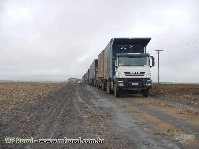 Agrego Caminhões Canavieiros - Safra até Fevereiro de 2015 - Centro-Sul