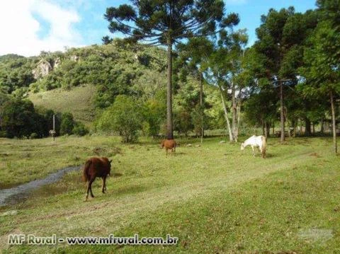 Excelente fazenda, medindo 450.000m² em Lages - SC