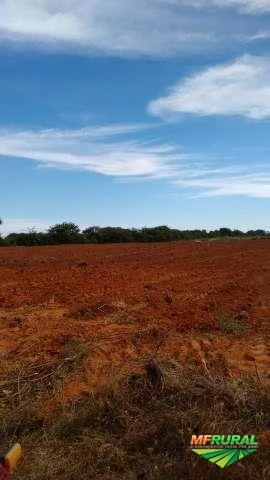 Sítio Agrícola de 50.000 m² (5 hectare)