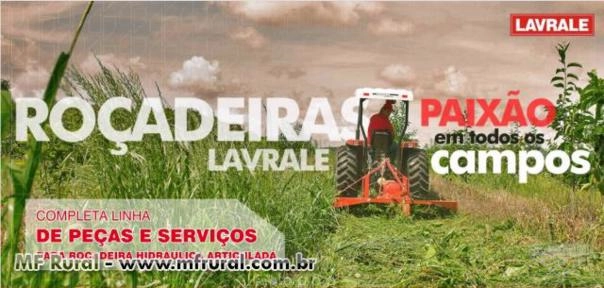 PEÇAS ORIGINAIS LAVRALE Imagem PEÇAS ORIGINAIS LAVRALE